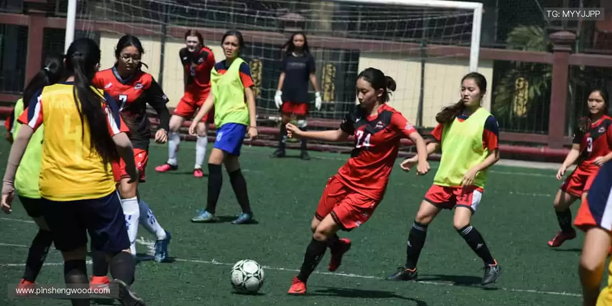 🏆 从看台到赛场,你的每一步都是传奇!🏃♂️